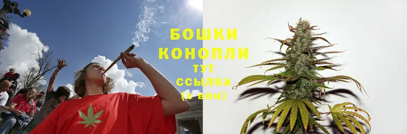 Бошки Шишки OG Kush  Приволжск 